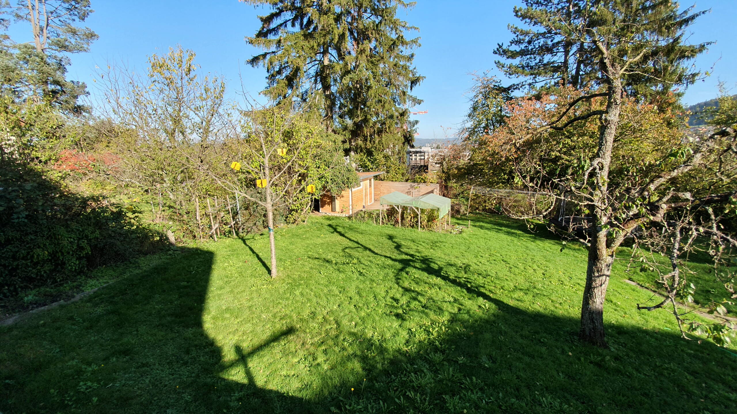 Zoom: 20221026_151049.jpg