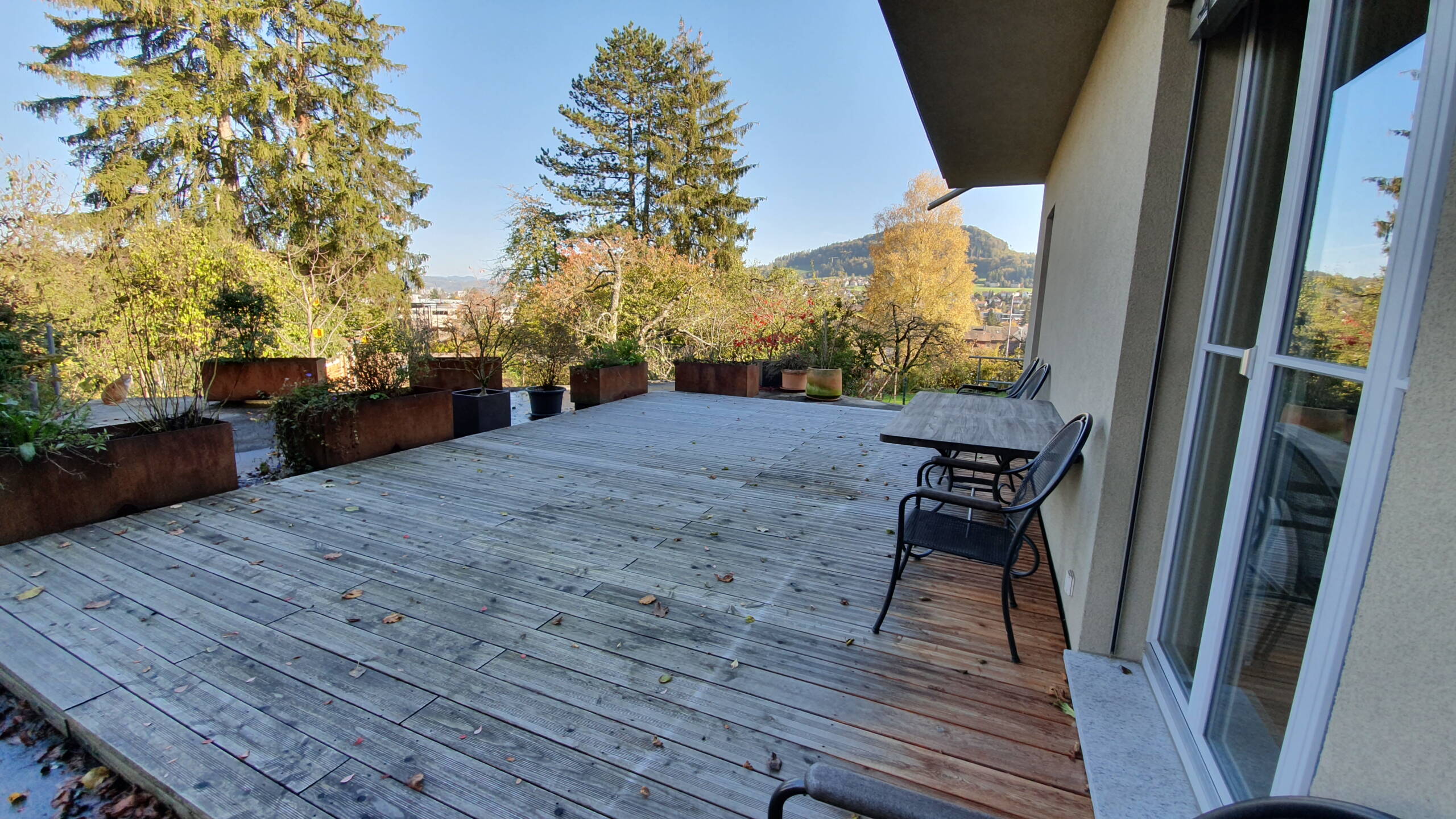 Zoom: 20221026_151010.jpg